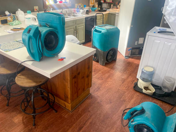 Best Fire Damage Restoration  in Mobile, AL
