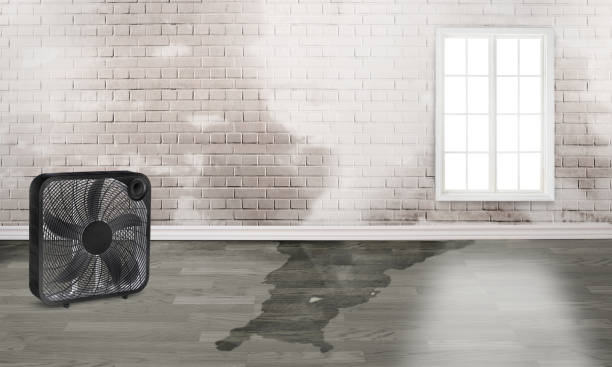 Water damage restoration experts in AL
