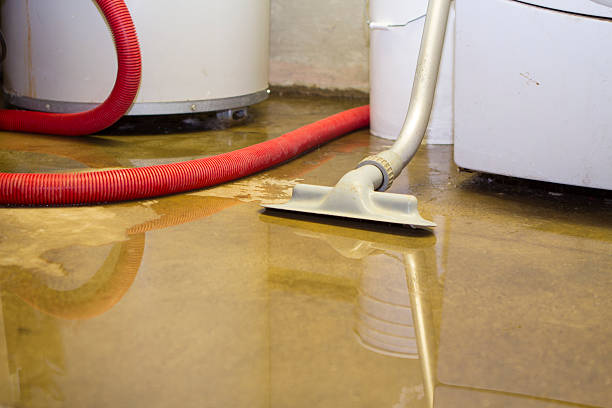 Best Professional water damage repair  in Mobile, AL